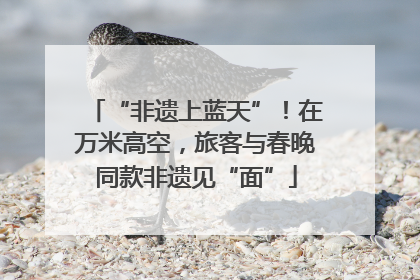 “非遗上蓝天”！在万米高空，旅客与春晚同款非遗见“面”